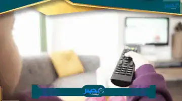 «سر الترفيه الممتع» تردد قناة وناسة 2025 سيجعل أطفالك مستمتعين طوال الوقت